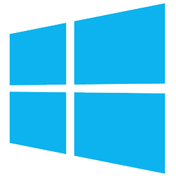 MS WIndows PC